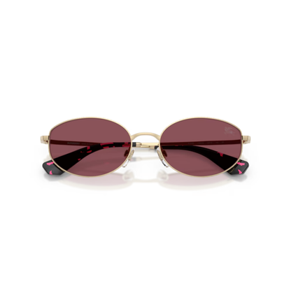Burberry BE3169 unisex oval metal sunglasses with luxury British designer styling