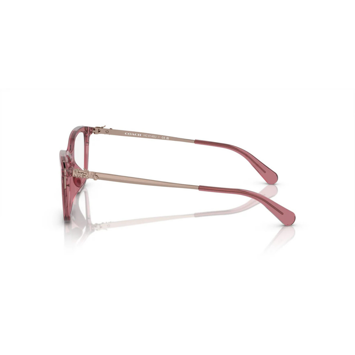 Coach HC6146U Cat Eye Acetate Eyeglasses  Side View