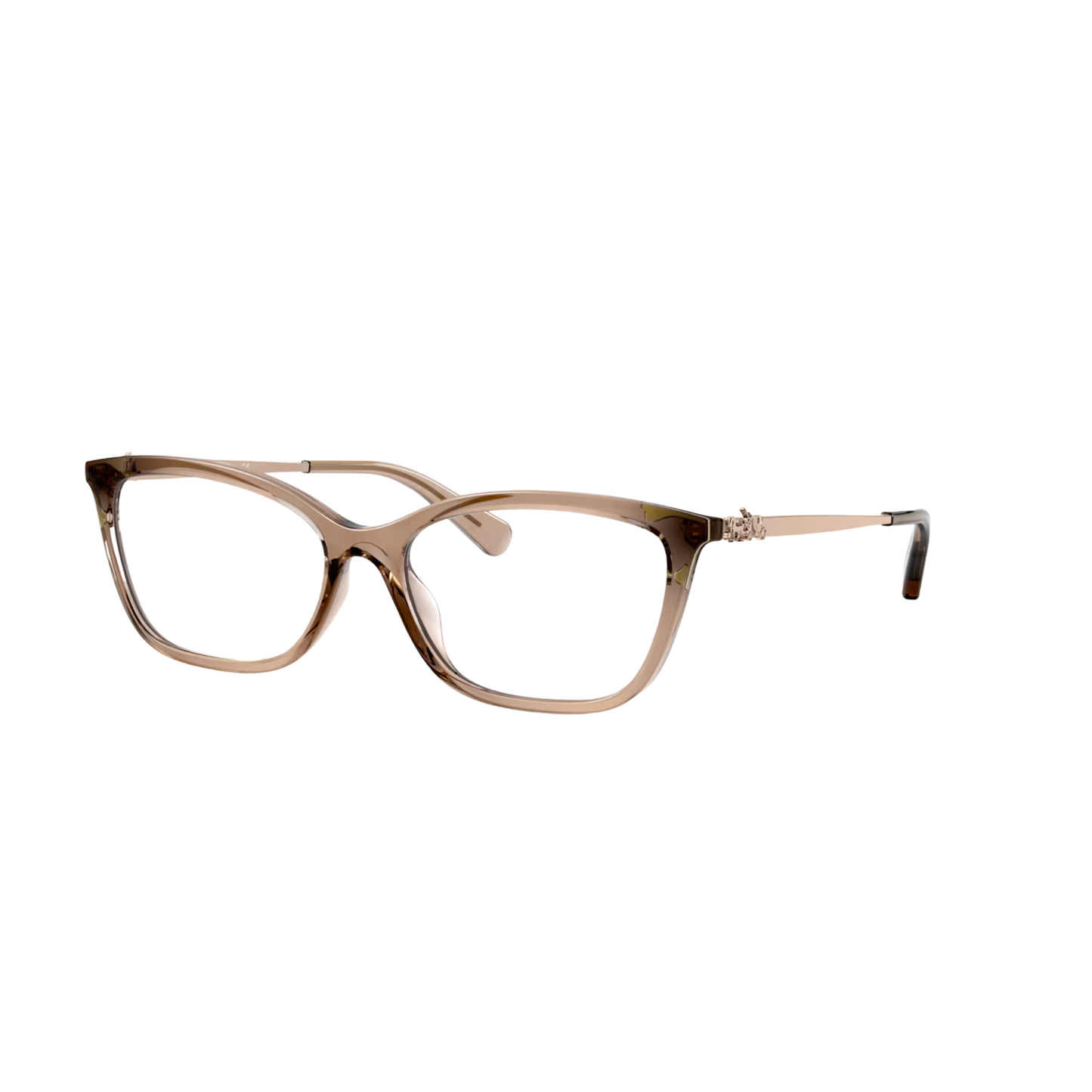 Coach HC6146U Cat Eye Acetate Eyeglasses Angel View