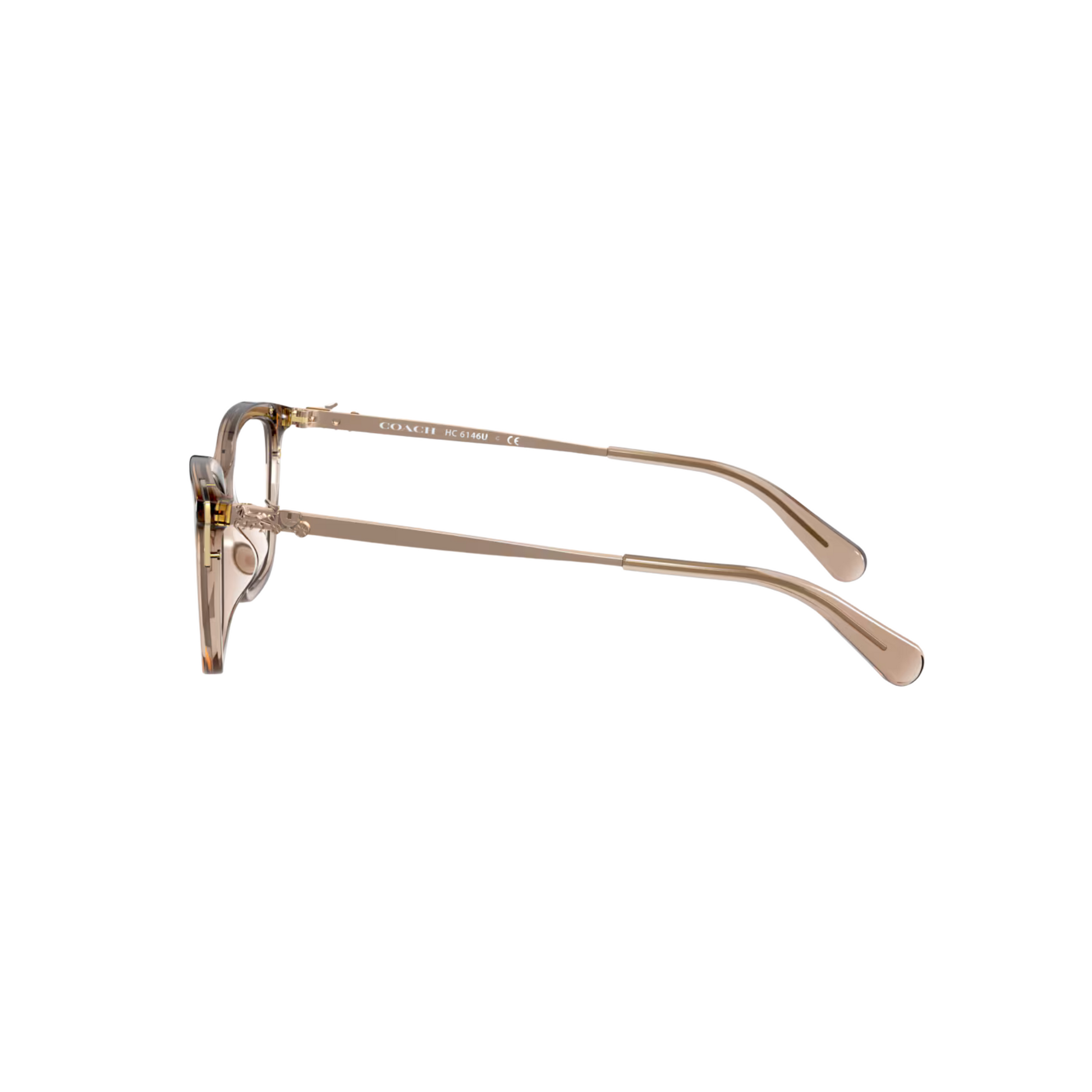 Coach HC6146U Cat Eye Acetate Eyeglasses Side View