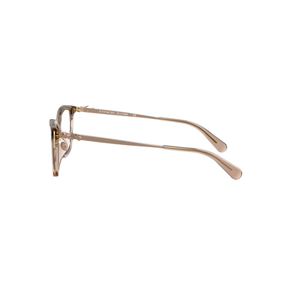 Coach HC6146U Cat Eye Acetate Eyeglasses Side View