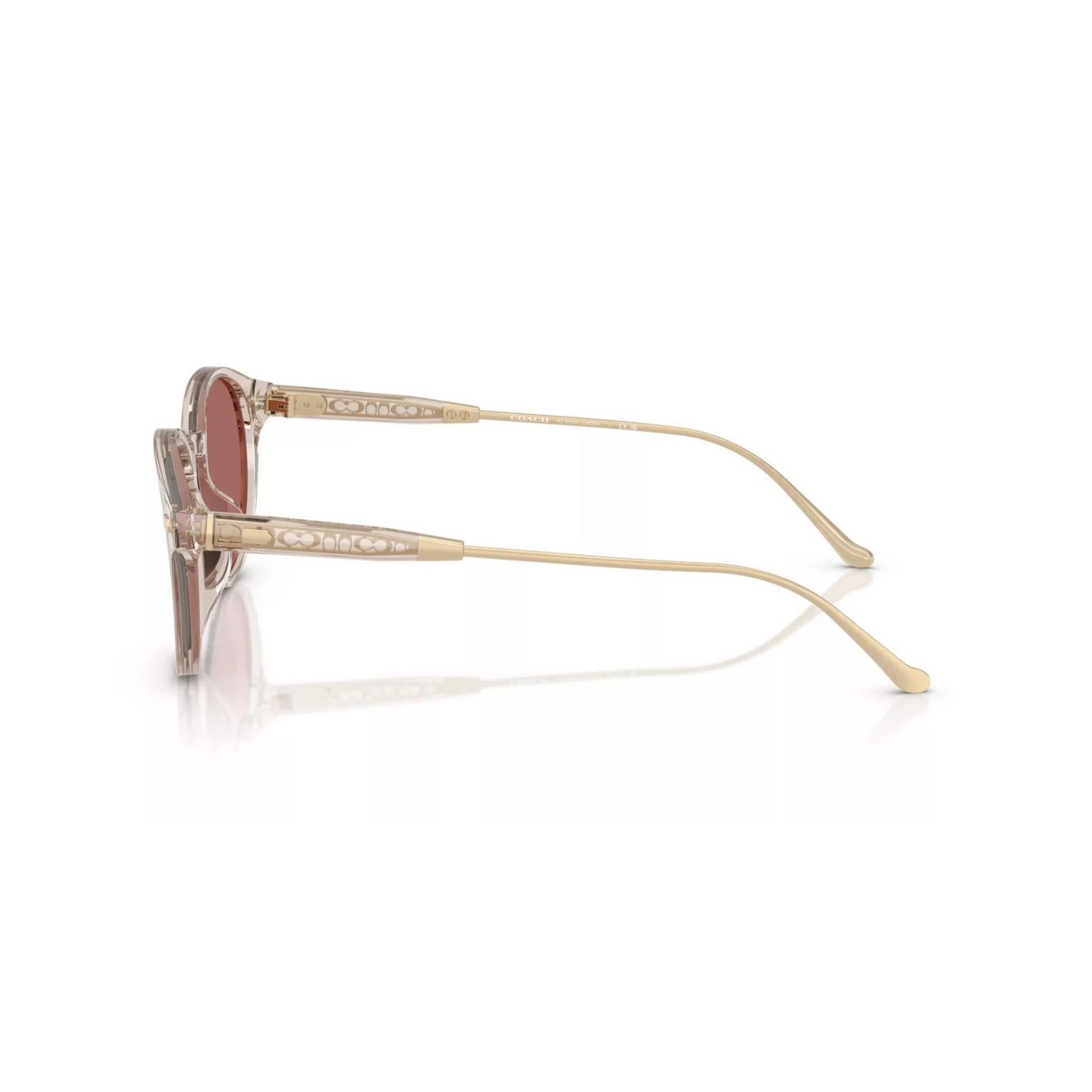 Coach HC8428U Round Acetate Sunglasses Side View