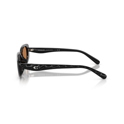 Coach HC8443D women’s oval acetate sunglasses with lightweight luxury designer styling