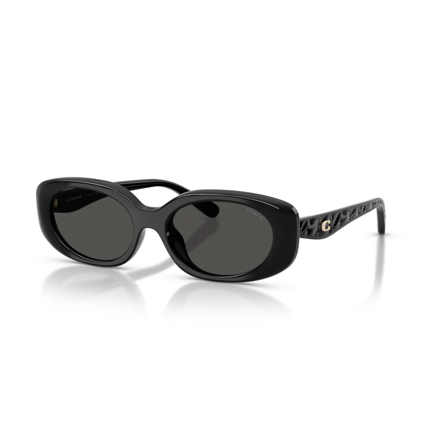 Coach HC8443D women’s oval acetate sunglasses with lightweight luxury designer styling
