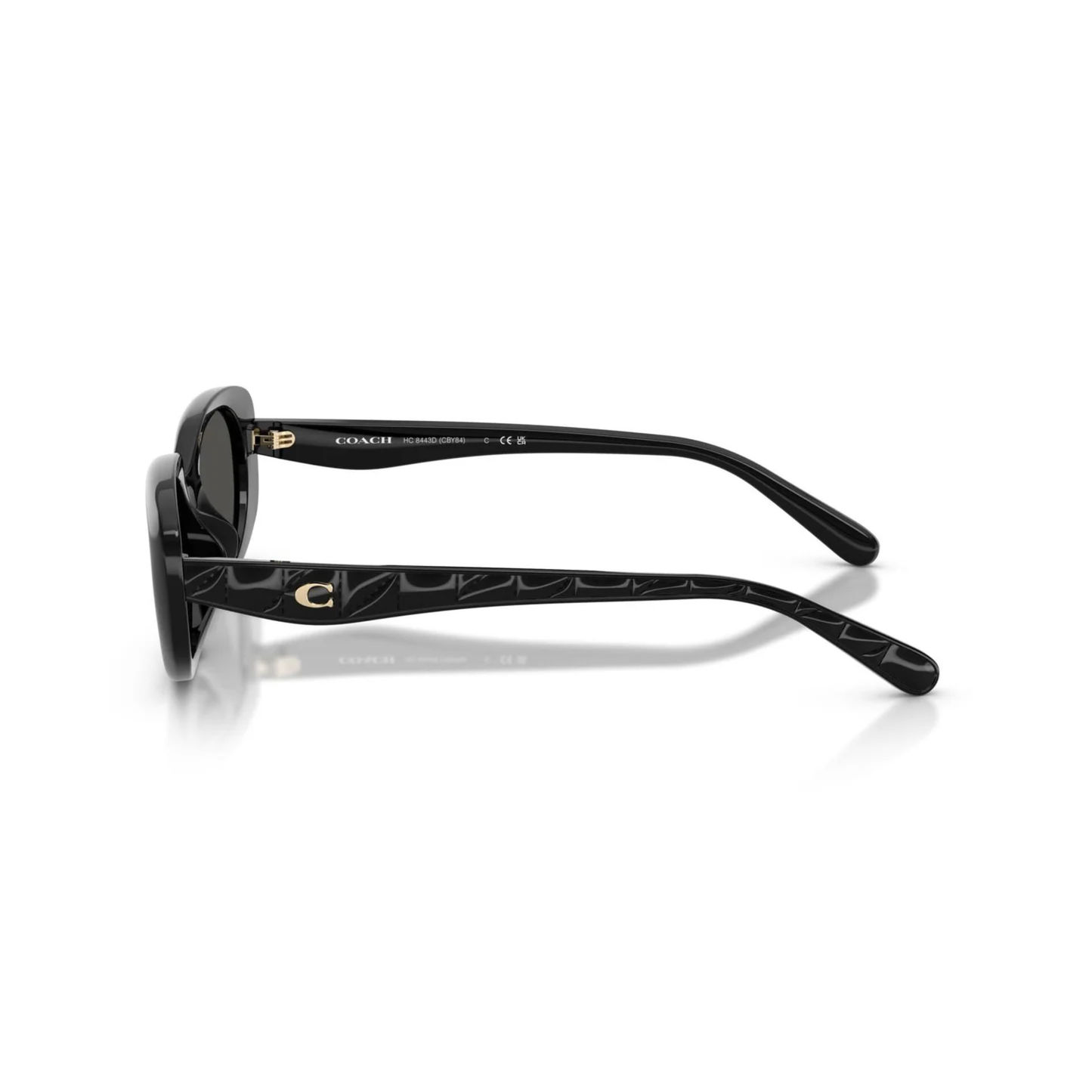 Coach HC8443D women’s oval acetate sunglasses with lightweight luxury designer styling