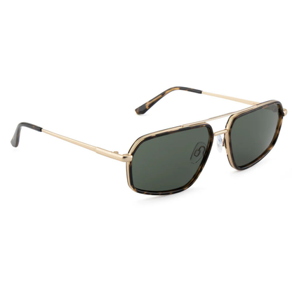 BrownHavanaC2 David Jones DJ0025-108 aviator sunglasses with premium metal full rim frame
