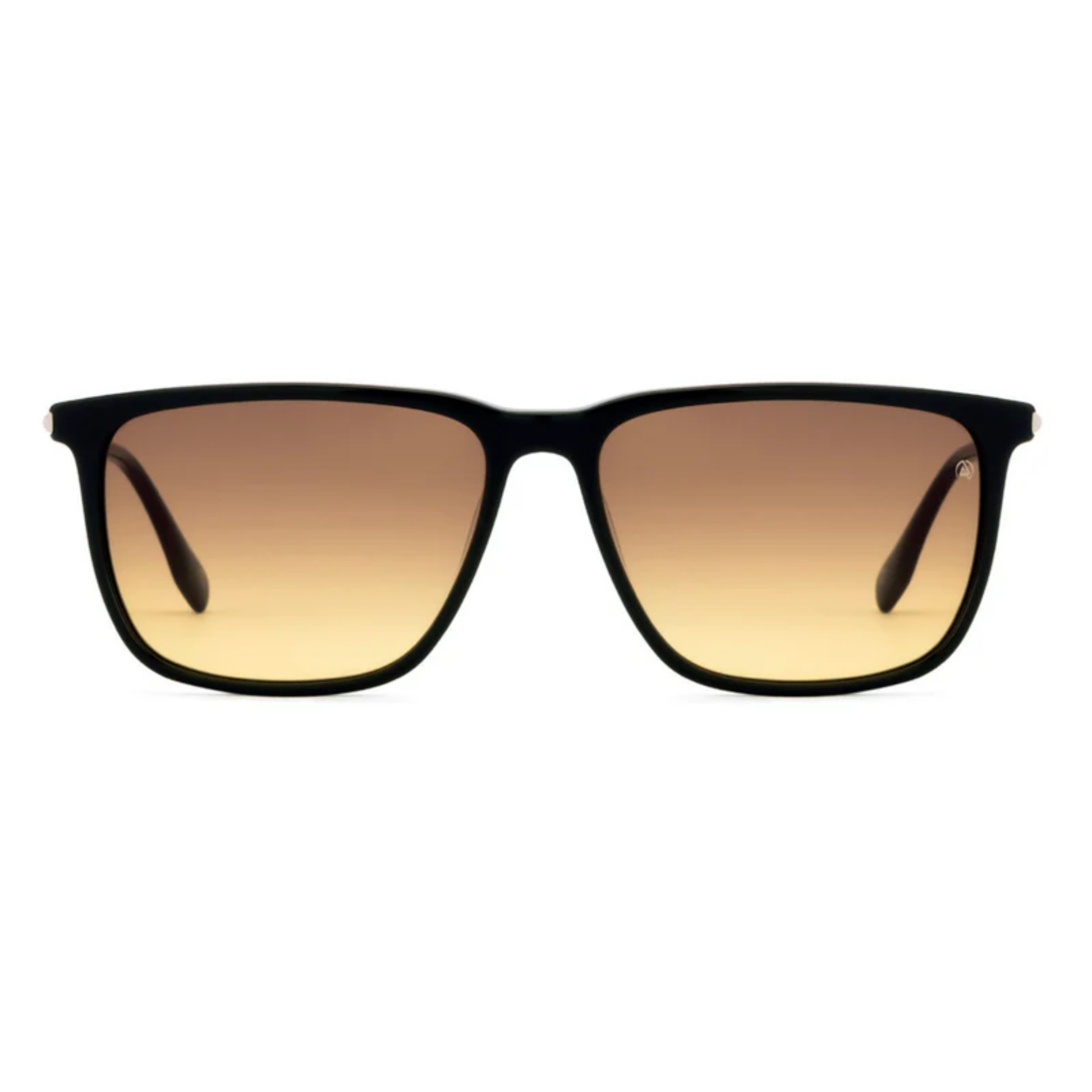 BlackBrownC4 David Jones DJ0486S unisex square sunglasses with lightweight premium frame