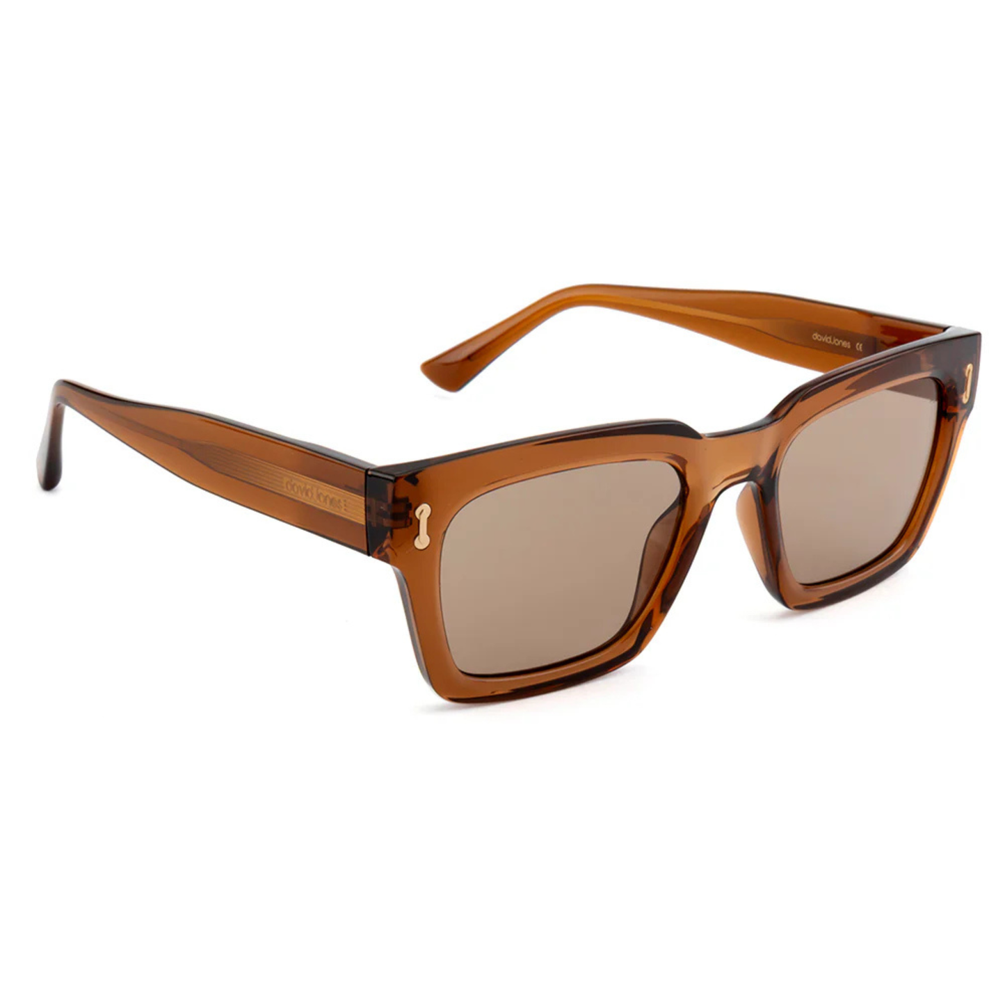 TransparentBrownC2 DJ0025 unisex sunglasses with premium luxury full rim frame
