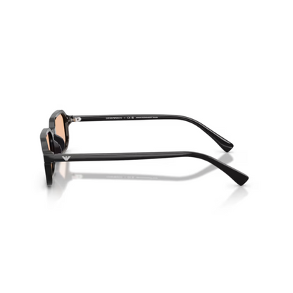 Emporio Armani EA4253U Rectangle Sunglasses side  View