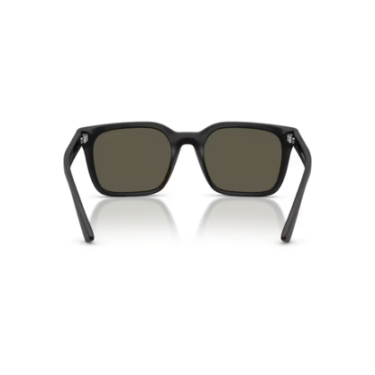 Emporio Armani EA4269 Square Sunglasses Detail View