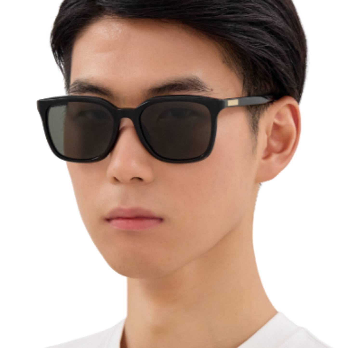 Gucci GG2080SK square sunglasses model view