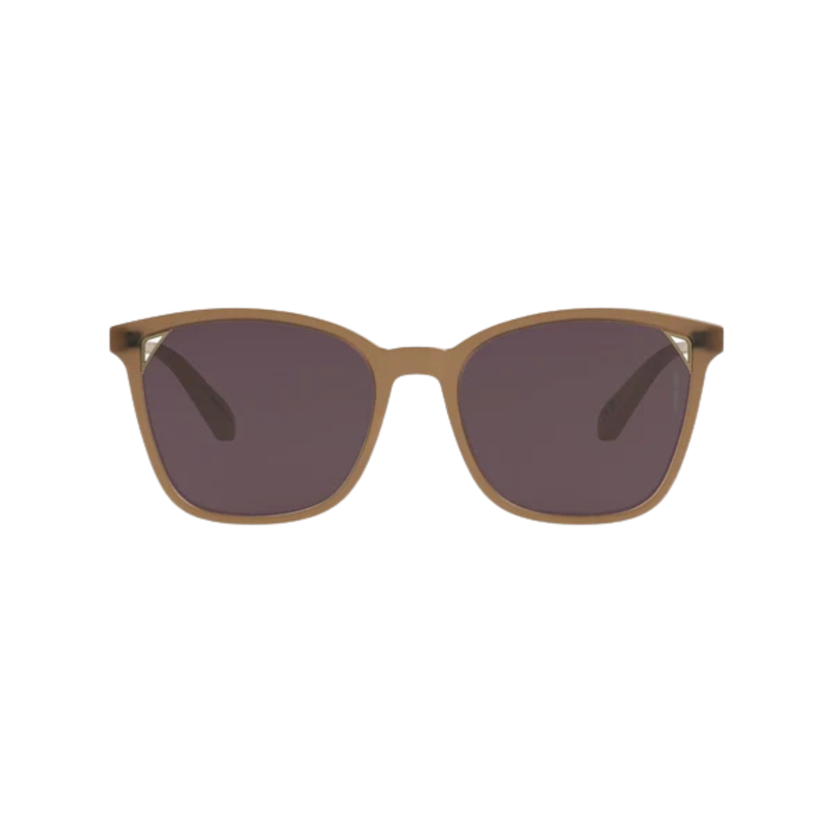 Intense Eyewear ES4110 womens acetate cateye sunglasses front view