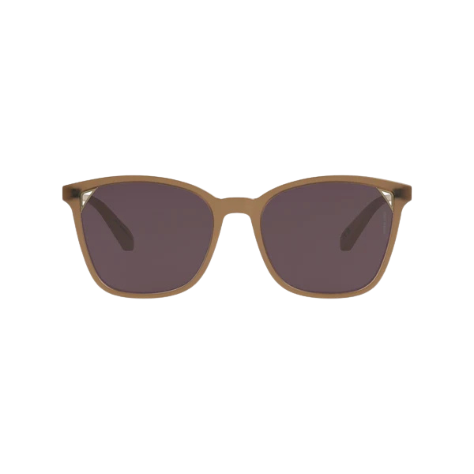 Intense Eyewear ES4110 womens acetate cateye sunglasses front view