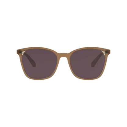 Intense Eyewear ES4110 womens acetate cateye sunglasses front view