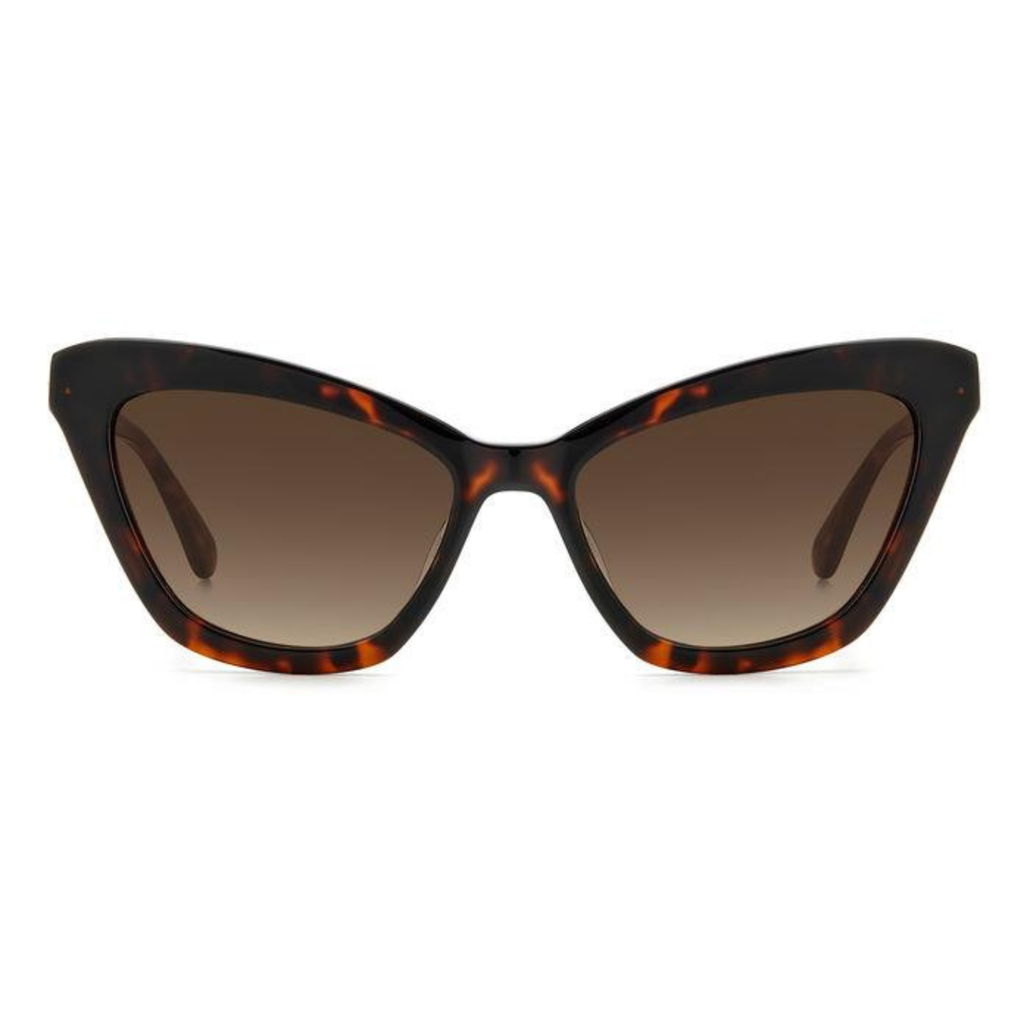Kate Spade Amelie women's oversized cat eye acetate sunglasses with premium craftsmanship and UV-protective lenses.