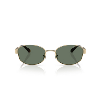 Gold/10143H Michael Kors MK1161 sunglasses