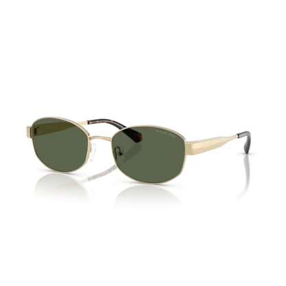 10149AGold Michael Kors MK1161 sunglasses