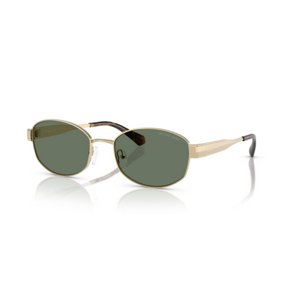Gold/10143H Michael Kors MK1161 sunglasses