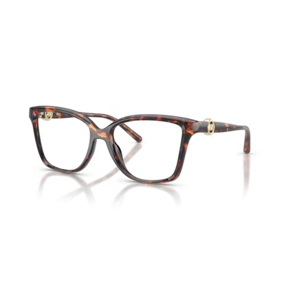 BrownLuggageTortoise4031