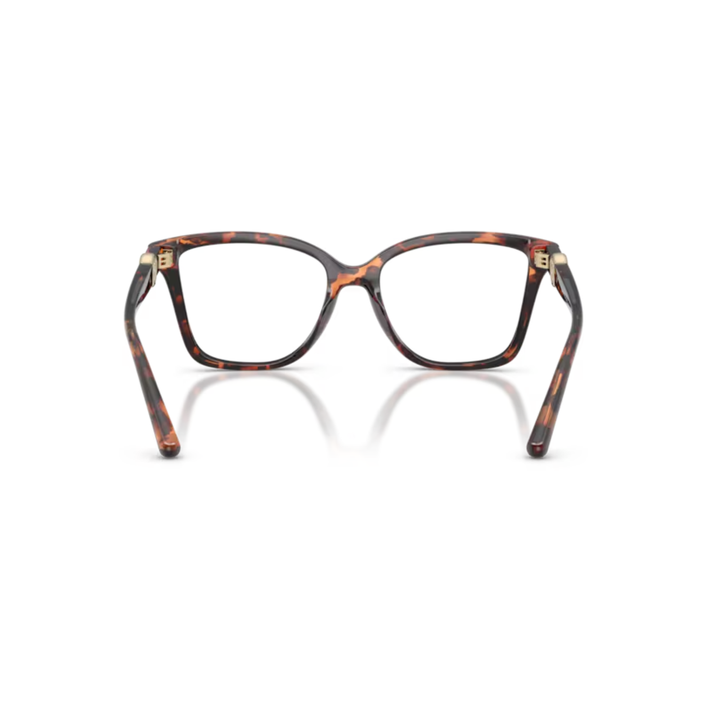 BrownLuggageTortoise4031