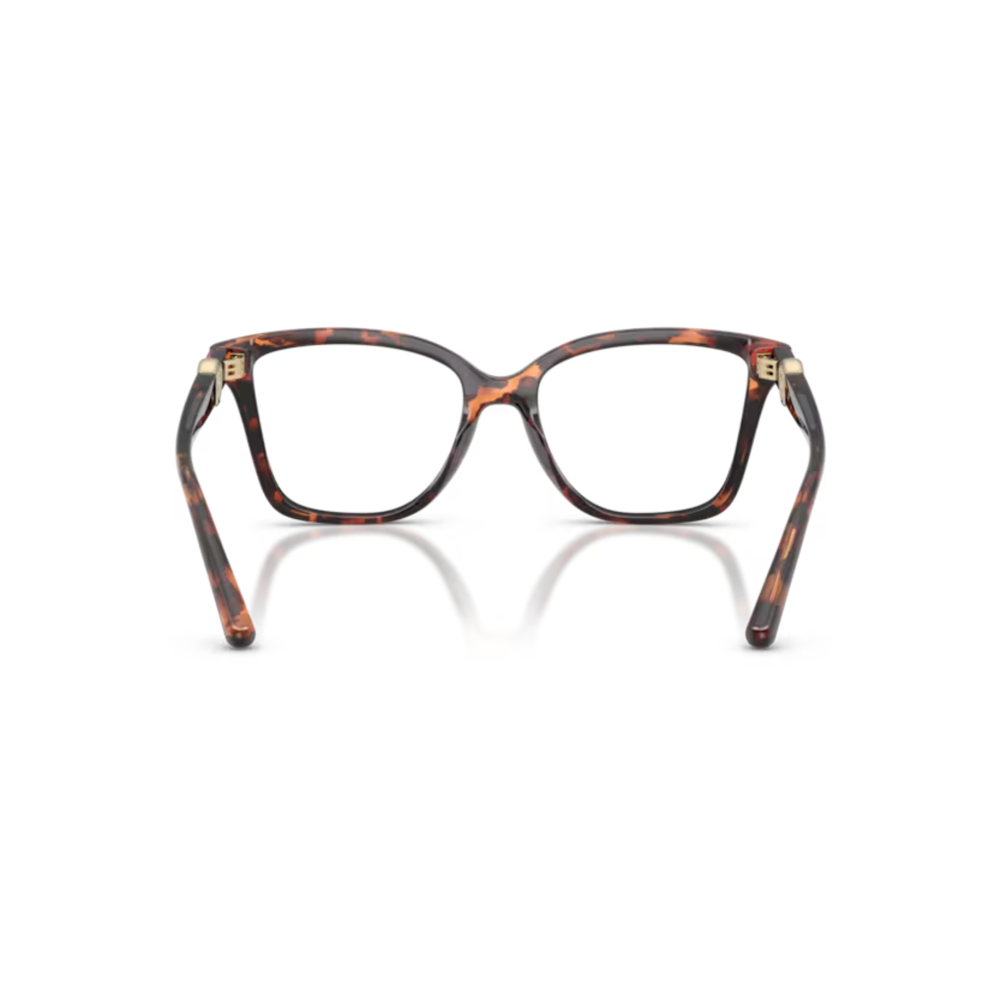 BrownLuggageTortoise4031
