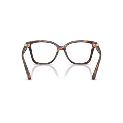BrownLuggageTortoise4031