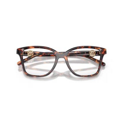 BrownLuggageTortoise4031
