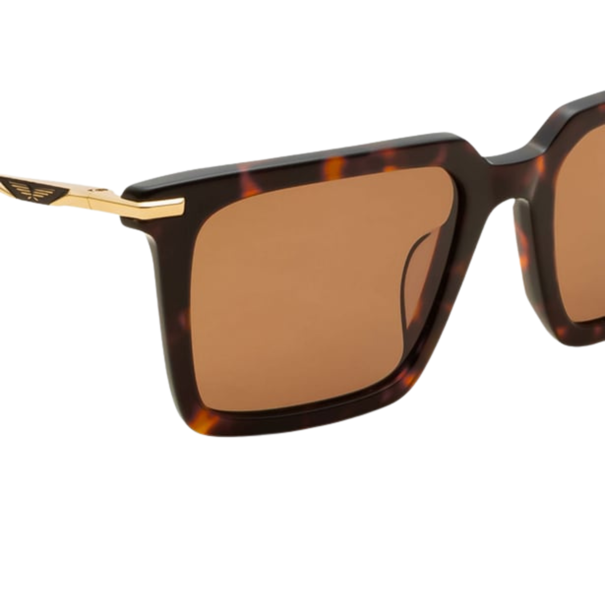 Police SPLW10K 745 Designer Sunglasses Brand Detail View