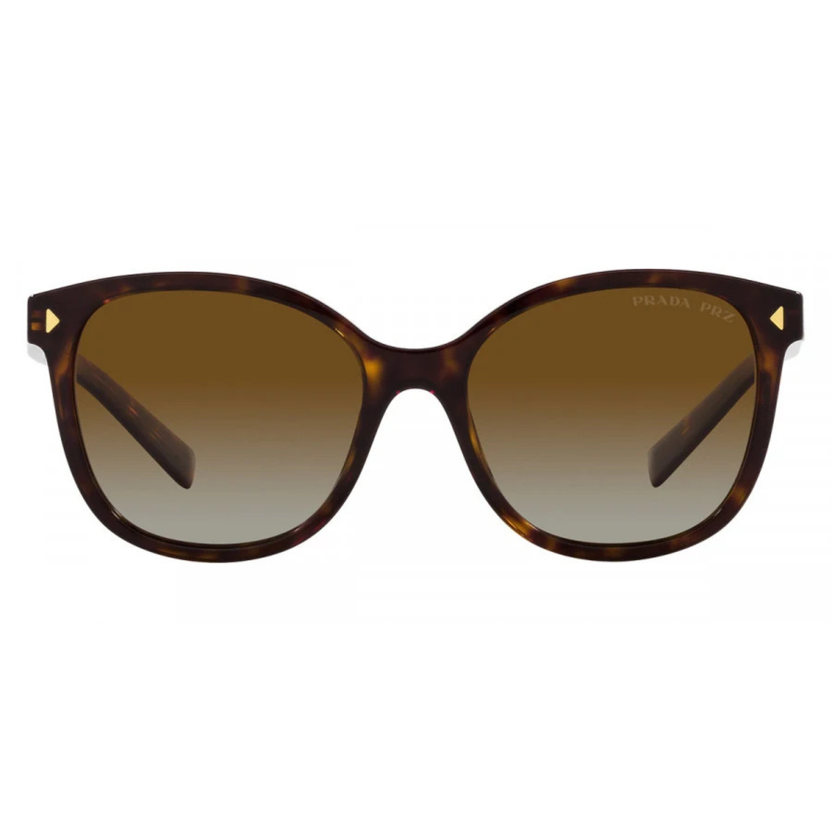 Prada PR 22ZS women acetate square polarized sunglasses side profile
