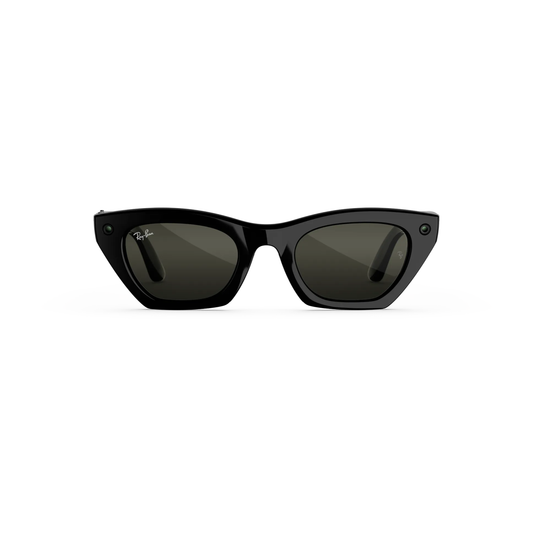 Ray-Ban Meta RW4015 women injected cat-eye AI sunglasses front view