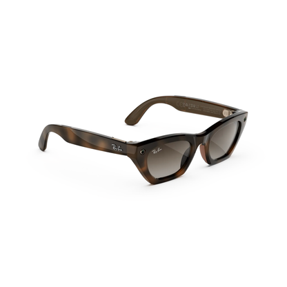 Ray-Ban Meta RW4015 Zena unisex injected cat-eye AI sunglasses side view