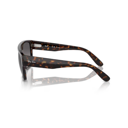 Ray-Ban RB0360S Drifter unisex propionate square sunglasses side profile