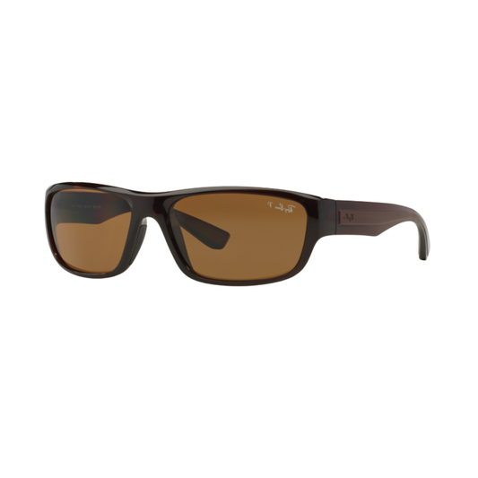 Ray-Ban RB4196 men's rectangle acetate sunglasses with full-rim design and polarized lenses.