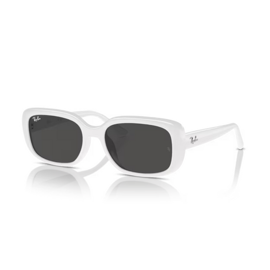 Ray-Ban RB4274 unisex nylon round sunglasses full-rim front view