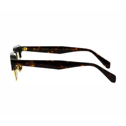 RayBrownHavana Ray unisex sunglasses with premium full rim contemporary frame design