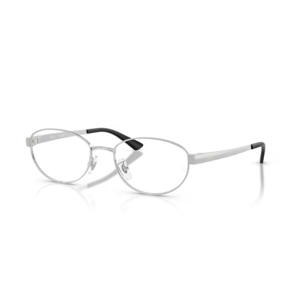 2501Silver Ray-Ban RB3774VD oval eyeglasses