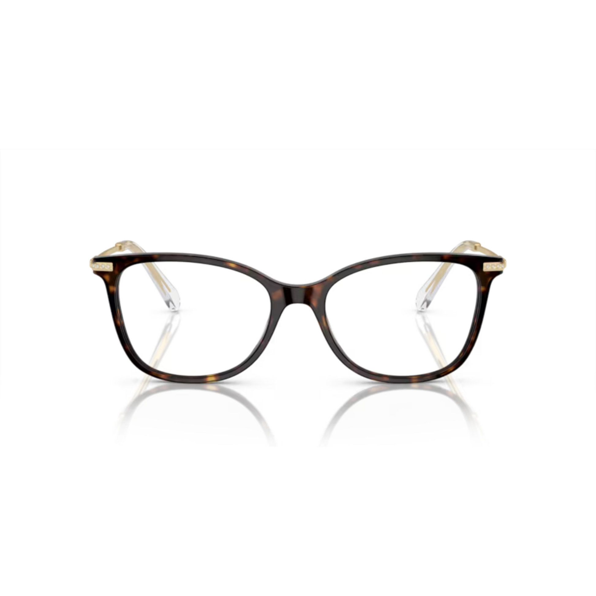 Dark Havana/1002
