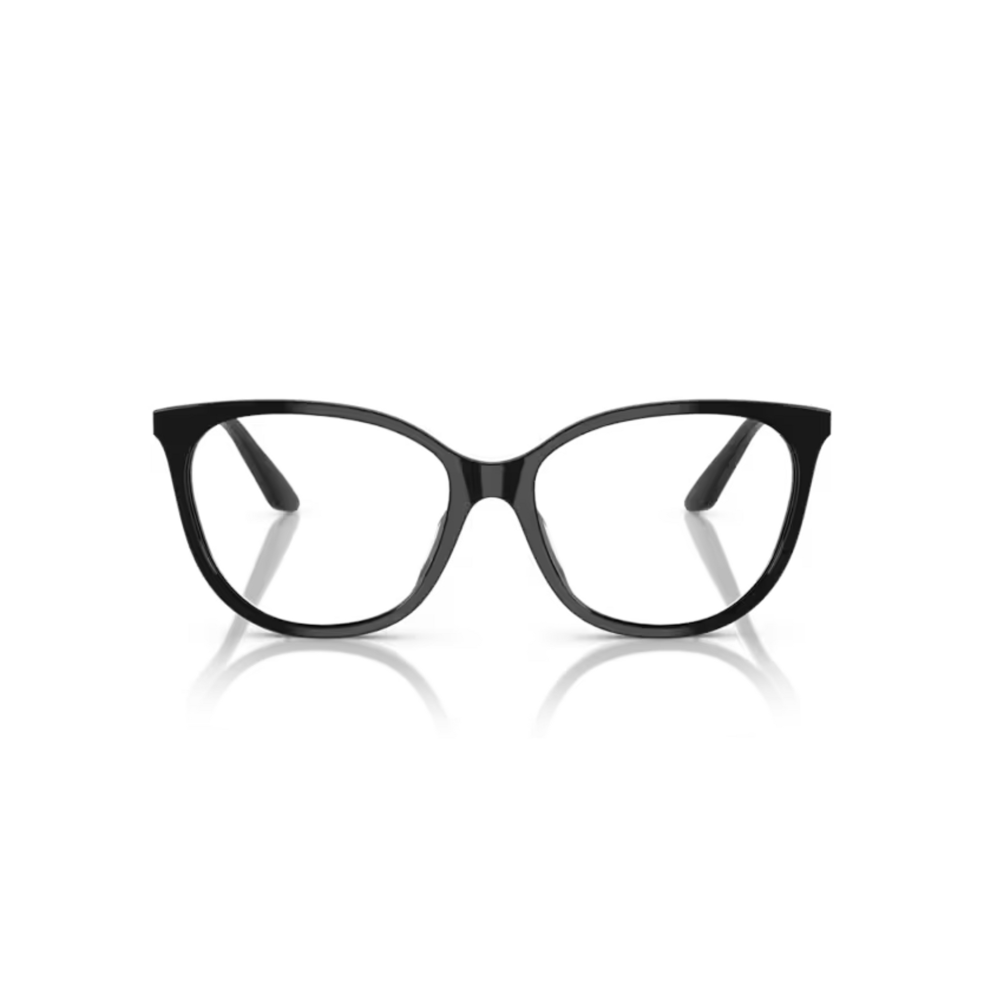 Shiny Black/5017 