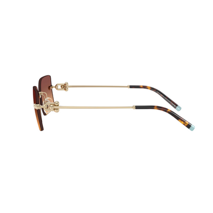 Tiffany & Co TF3088 women metal rectangle sunglasses with elegant luxury designer styling