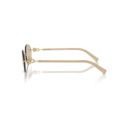 Tiffany & Co. TF3104D women’s metal oval sunglasses