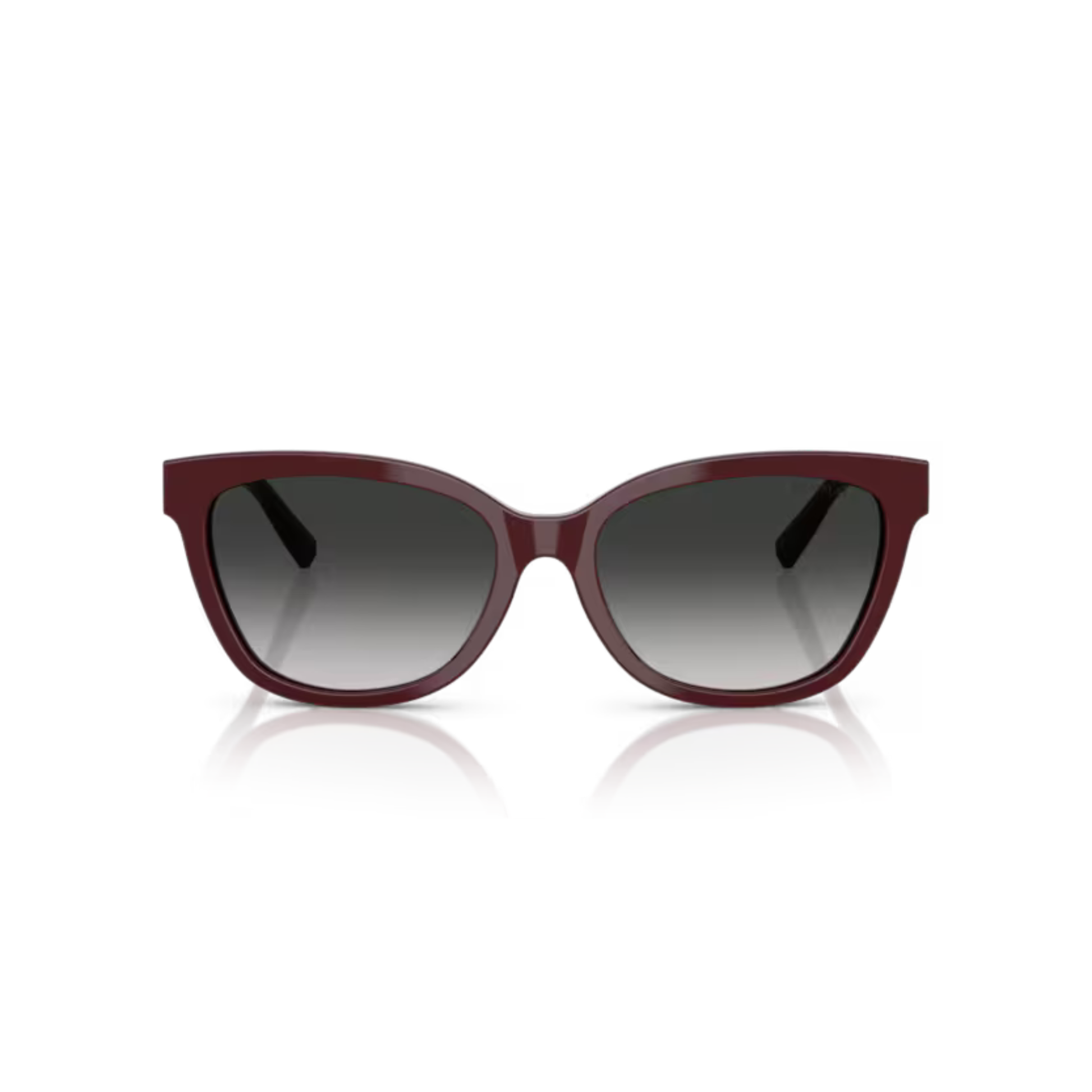 Tiffany & Co. TF4237B women’s acetate cateye sunglasses
