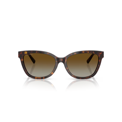 Tiffany & Co. TF4237B women’s acetate cateye sunglasses