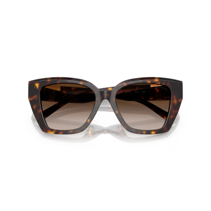 Tiffany & Co TF4239U women acetate cat-eye sunglasses with elegant luxury designer styling
