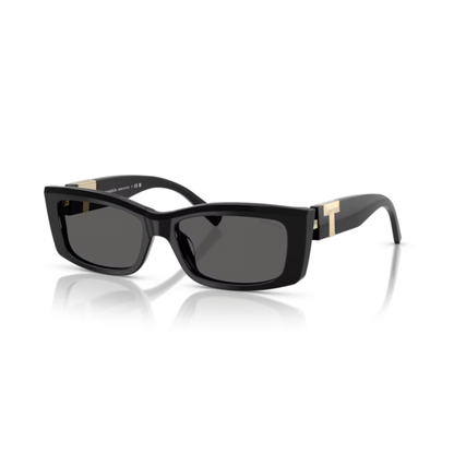 Tiffany & Co. TF4240U women’s acetate rectangle sunglasses